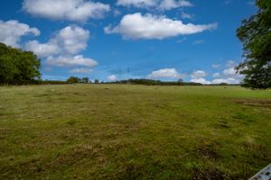 FIELD- click for photo gallery